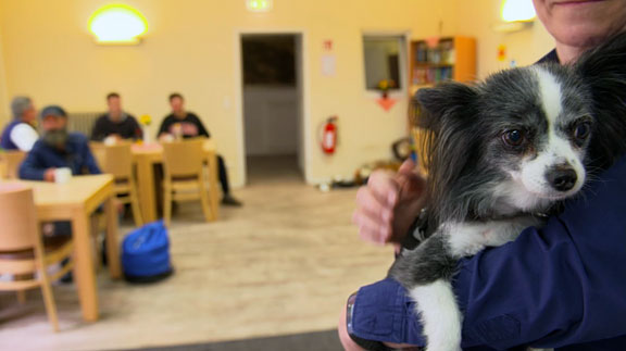 Harburg-Huus: Obdach für Mensch und Hund